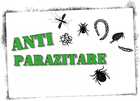 Protectia cailor cu ajutorul produselor antiparazitare