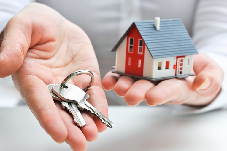 Otho Real Estate, poate cea mai buna agentie imobiliara Herastrau